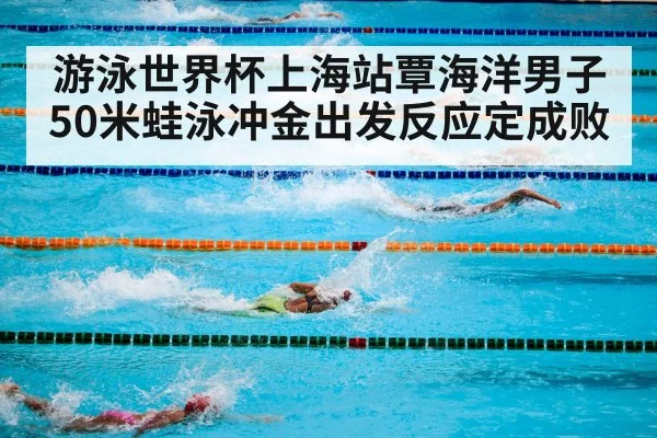 swimming competition pool
